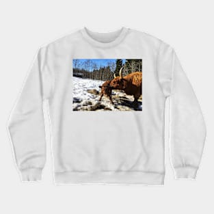 Scottish Highland Cattle Cow and Calf 1733 Crewneck Sweatshirt